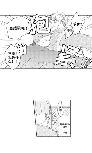 番木瓜漫画