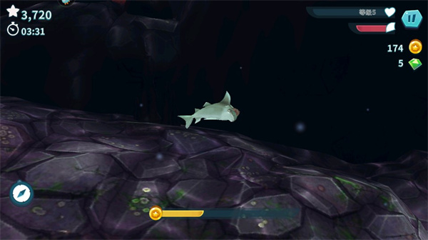 饥饿鲨进化国际服最新版