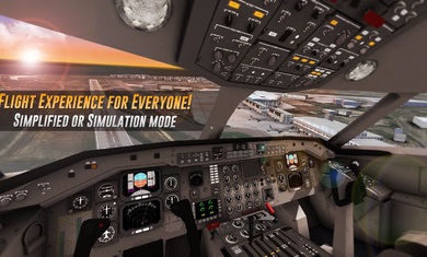 航空公司指挥官